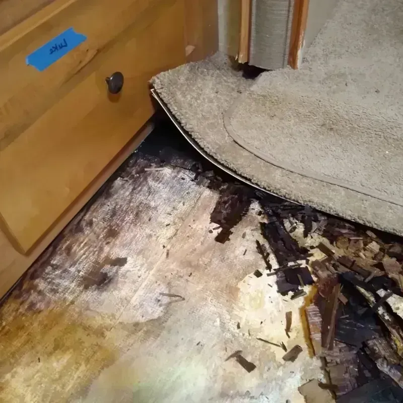 Wood Floor Water Damage in Trinity, FL